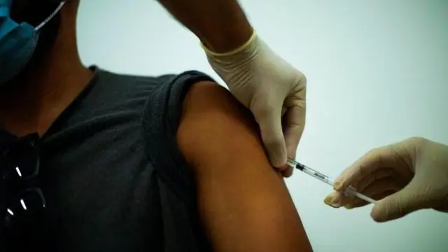 Первое свидетельство смертельного заражения орланов-белохвостов птичьим гриппом