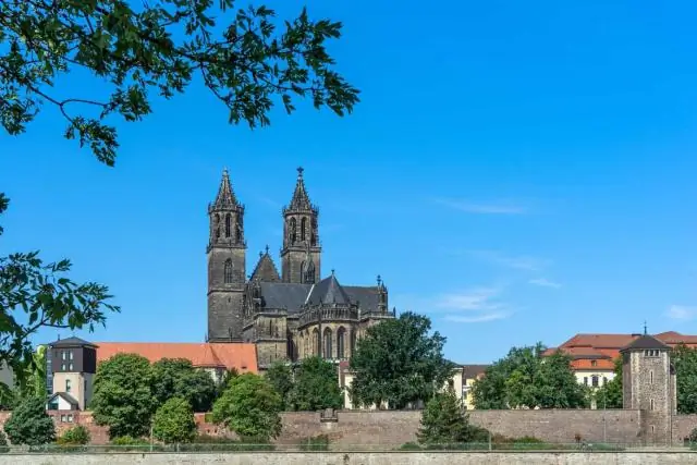 Антрополог переписывает историю, используя науку, искусство