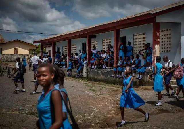 Инстинкт самонаведения перемещенных змей