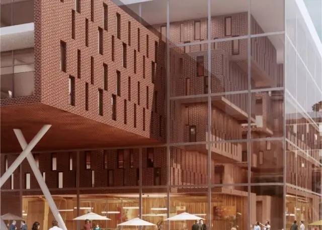 Расширение грибкового разнообразия, по одной клетке за раз: пилотное исследование демонстрирует геномный подход к грибковому геномному разнообразию