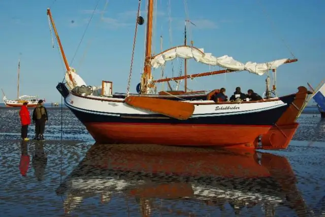 Более сухая и менее предсказуемая среда могла стимулировать эволюцию человека