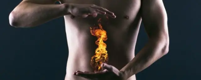 Как жала осы и пчелы помогают облегчить боль: исследование показывает эффективность жала при прокалывании кожи