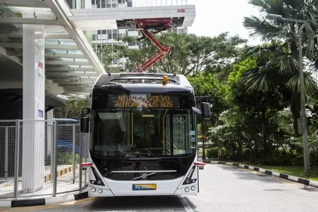 Стать неразборчивым в связях, чтобы обеспечить воспроизводство