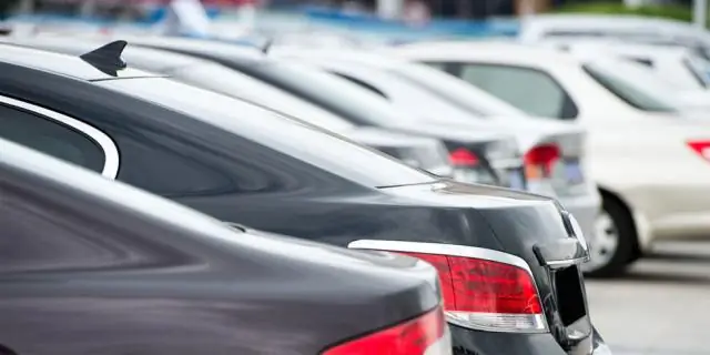 Уборка, но безопасно! Коконы защищают чувствительный муравьиный расплод во время токсической дезинфекции