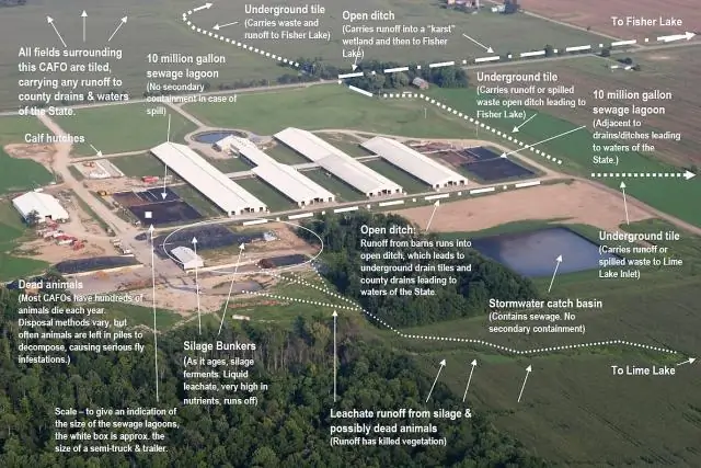 Закон о чистой воде резко сократил загрязнение водных путей США