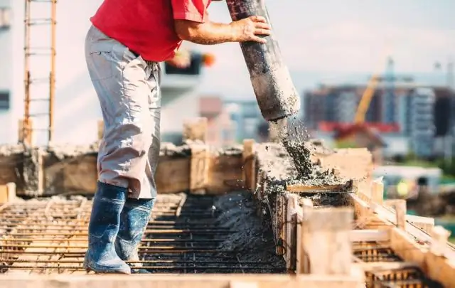 Ученые отправляются «назад в будущее», создают мух с древними генами для изучения эволюции