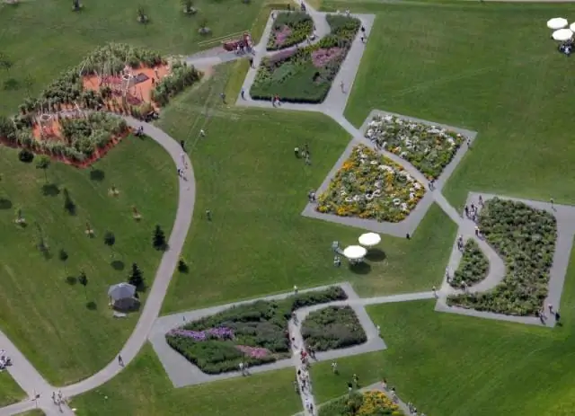 Скоро в вашем саду появятся голубые розы