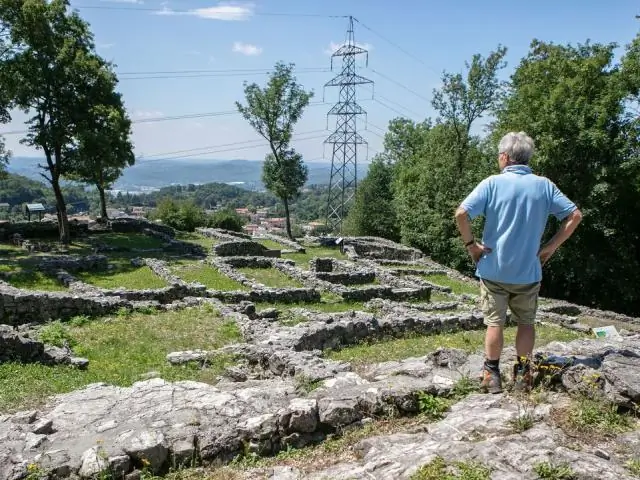 Недавно описанные окаменелости могут помочь понять, почему некоторые динозавры стали такими большими