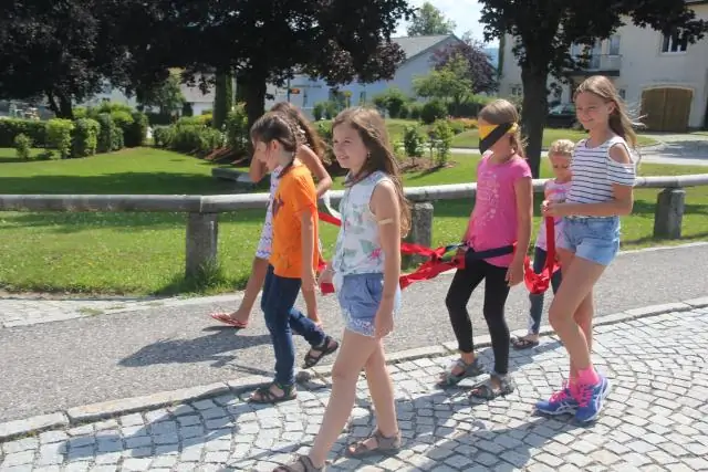 В поисках талантов к креветкам найден победитель