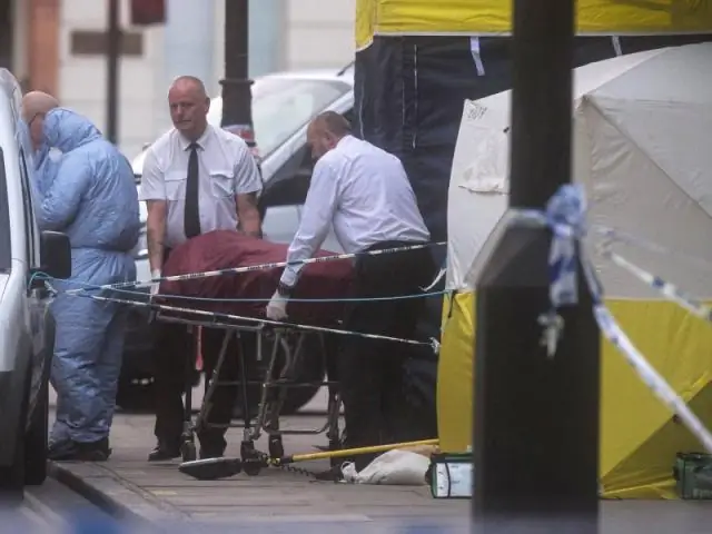 Подсказки от сомалийской пещерной рыбы о темном прошлом современных млекопитающих