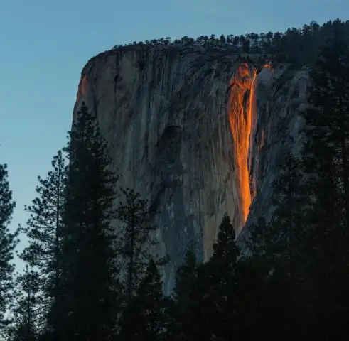 Оптическая иллюзия пугает хищников