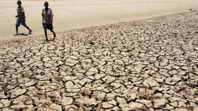 Предсказание El Niño или La Niñгод на 17 месяцев вперед