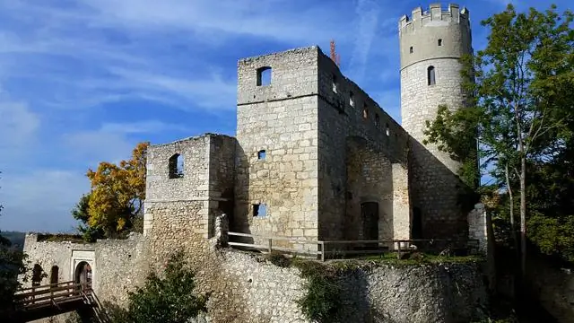 Губки на дне древнего океана за 100 миллионов лет до кембрийского периода: Молекулярные окаменелости