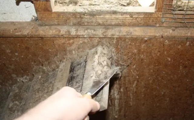 Паразиты из средневековых уборных открывают тайны истории человечества