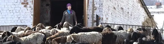 Вирус ЧМЖ представляет угрозу для сохранения