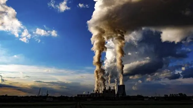 Могут ли леса спасти нас от изменения климата? Управление европейскими лесами для максимального связывания углерода оказывает незначительное влияние на глобальный климат