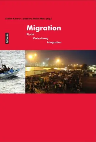 Общества могут оставаться разными, несмотря на миграцию