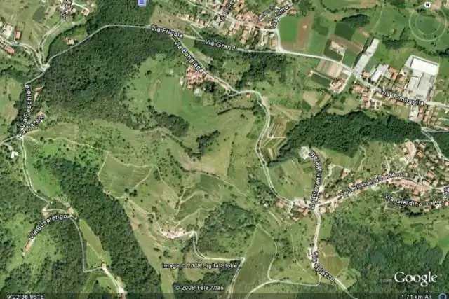 Семена одуванчика раскрывают недавно открытую форму естественного полета: почему это растение является одним из лучших летающих растений в мире природы