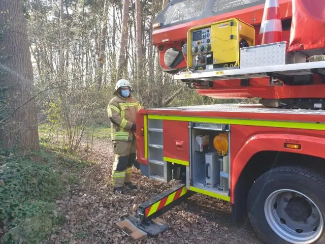 Огромный организм терпит крах на наших глазах: первая всесторонняя оценка Пандо выявила критические угрозы