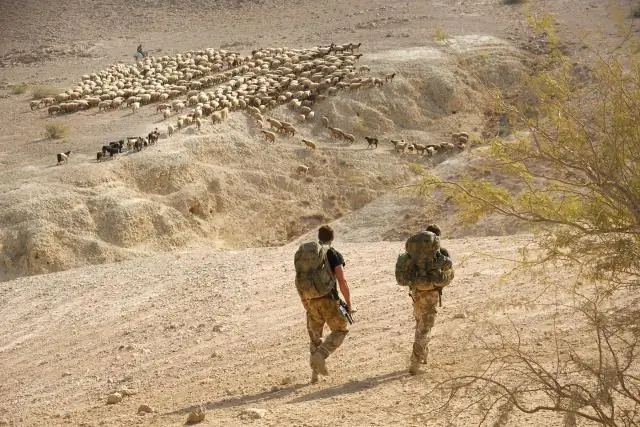 Частота торнадо в США смещается на восток от Великих равнин: Аллея торнадо по-прежнему лидирует, но более уязвимые регионы догоняют ее