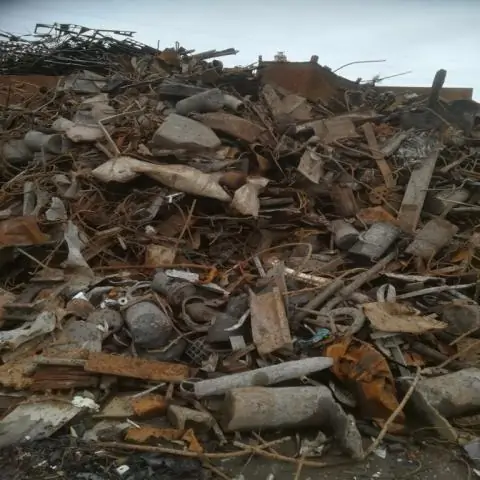 Рабочие земли играют ключевую роль в защите биоразнообразия: возвращение дикой природы на наши рабочие земли может помочь предотвратить массовое вымирание