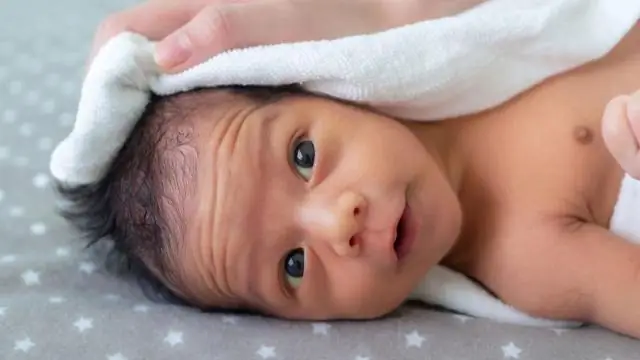 Генетическое поведение раскрывает причину гибели тополей, необходимых для экосистем, промышленности