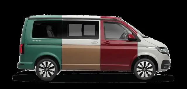 Окрас собаки может повлиять на продолжительность жизни и увеличить проблемы со здоровьем