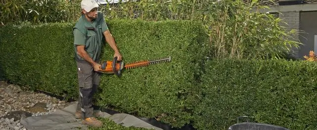 Разношерстные группы бактерий очищают воду в огромном океанариуме Джорджии