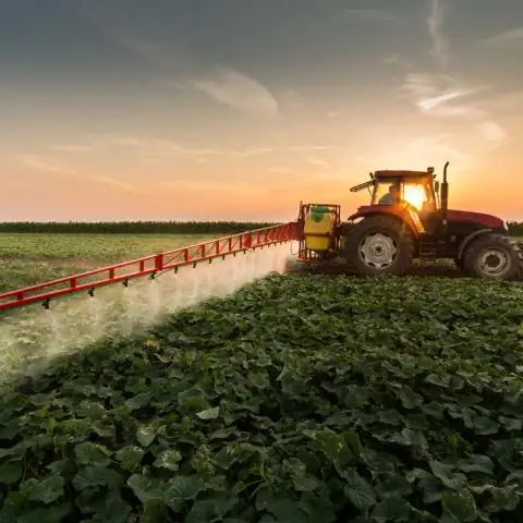 Вредные пестициды скрываются в домах штата Нью-Йорк