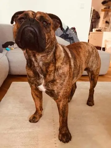 Текущая смесь почвенных бактерий и климатических условий 50 лет назад