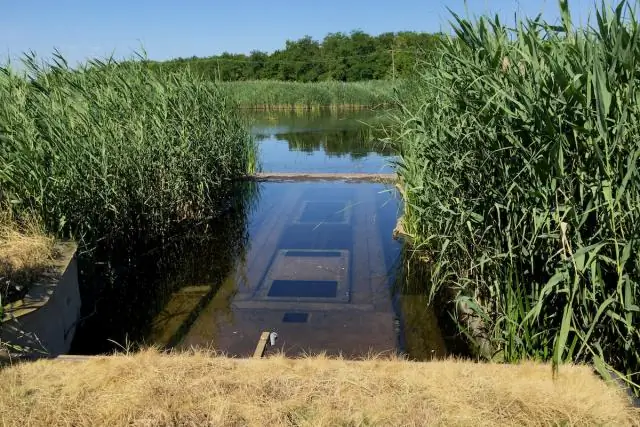 Птицы пугаются движущихся палочек