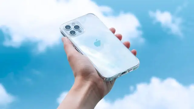 Стойкость стеклянной губки перед лицом изменчивости климата