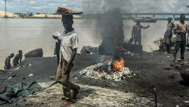 Загрязнение воздуха приводит к миллионам посещений скорой помощи по поводу приступов астмы по всему миру: первое исследование для количественной оценки глобального бремени астмы, связанного с грязным 