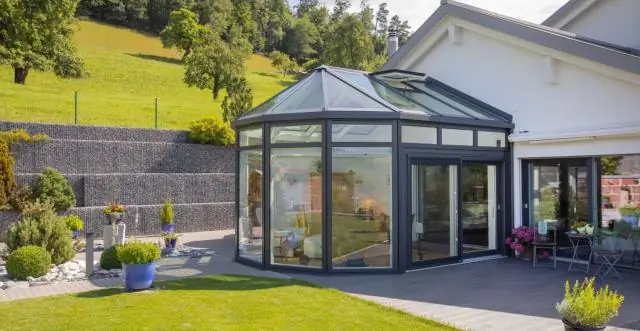 Новое поведение летучих мышей в Панаме: летучие мыши, строящие палатки, могут подталкивать детенышей к взрослению