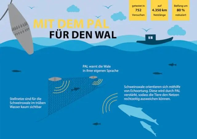 Представьте, что звуки морской свиньи помогают природоохранным мероприятиям, показывают исследования