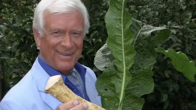 Местное производство гормонов является корнем проблемы для развития растений