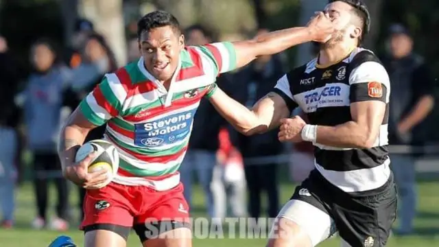 Новые виды ‘недостающее звено’ между динозаврами и птицами определили