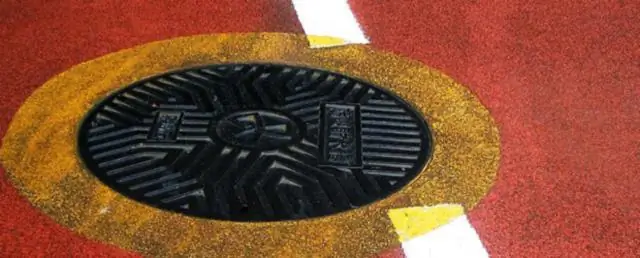 Большие клетки для крошечных листьев: ученые определили белок, который контролирует рост и форму листьев