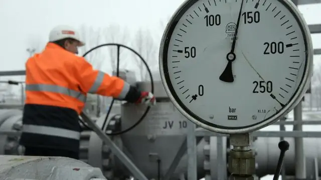 Растительная «дорожная соль» хороша для дорог, но не для насекомых: исследование показало, что антиобледенитель из свекольного сока вызывает задержку жидкости и изменяет функцию органов у подёнок