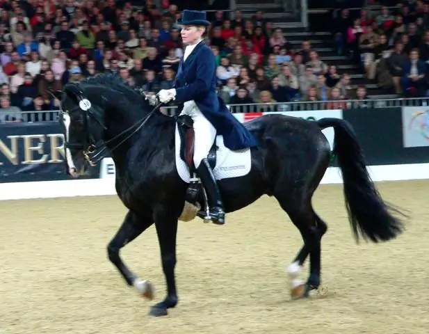 Внутренние северо-западные районы Нез Персе употребляли табак задолго до контактов с европейцами: молекулярный анализ трубок выявил самую продолжительную историю употребления