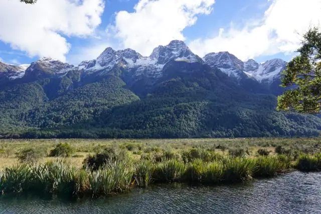 Новый вид бабочки-парусника обнаружен на Фиджи