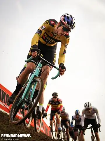 Конец арахнофобии «на расстоянии одного удара сердца»