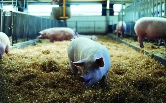 Ученые призывают к единым стандартам трехмерного генома и эпигенетических данных