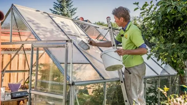 Как растения справляются со стрессом