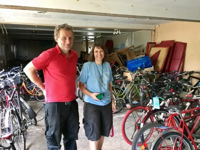 Деревенские ласточки, возможно, действительно эволюционировали вместе с людьми: по мере того, как люди развивались и расширялись, деревенские ласточки тоже эволюционировали