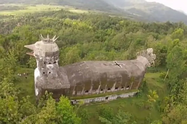 Тайна «птицы из Атлантиды» раскрыта