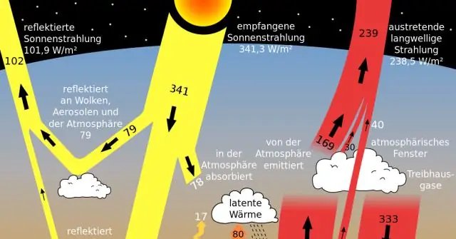 Обратный путь в глобальном круговороте серы: химики открыли ранее неизвестный метаболический путь планктона