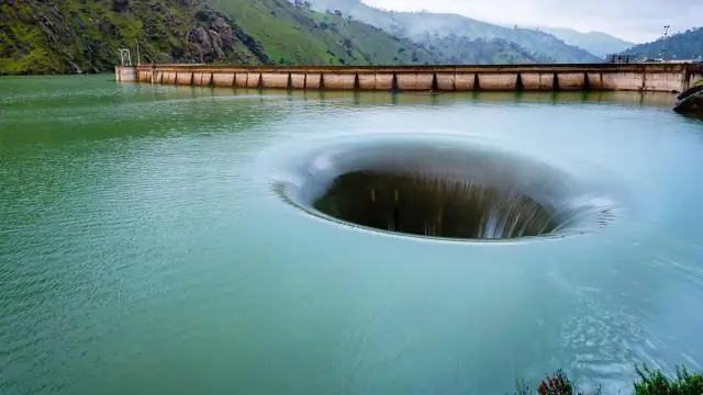Ученые нашли «переключатель» для увеличения накопления крахмала в водорослях