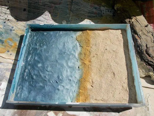 «Надежные» кораллы, устойчивые к обесцвечиванию кораллов