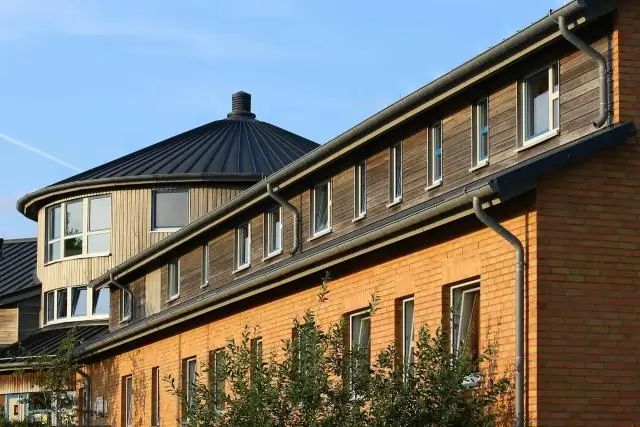 Кольцеобразный белковый комплекс спорит с ДНК: ученые урегулировали спор о структуре конденсинового комплекса в каждой клетке